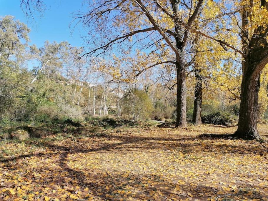 Вилла La Casirria Ольба Экстерьер фото